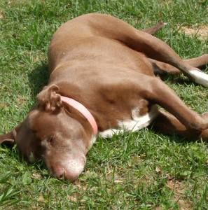 Meet your Posher, Greg